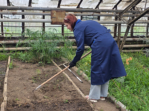 Экзамен пройден — путь к садовым вершинам открыт!